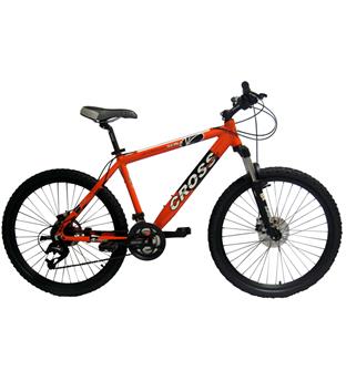 دوچرخه اسکیل